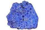 Vivid Blue, Cut/Polished Azurite Nodule - Siberia #94563-1